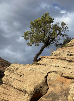 Zion National Park, Utah